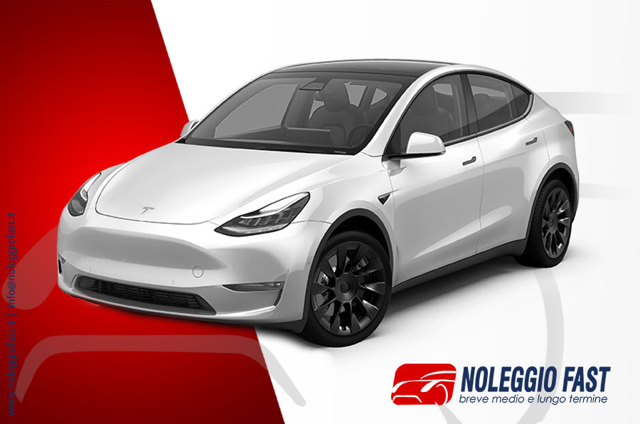 Tesla MODEL  Y 